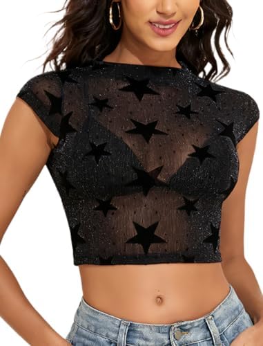 Sparkly Mesh Top Sheer Cap Sleeve Mock Neck — Star XXL